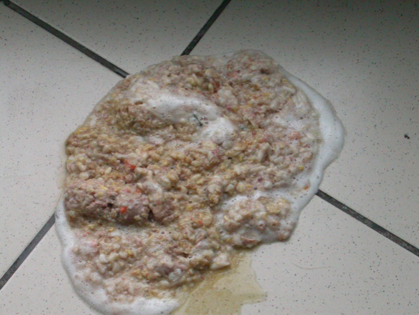 Fig. 2 - Materiale alimentare rigurgitato. Fig. 2 - Materiale alimentare rigurgitato.