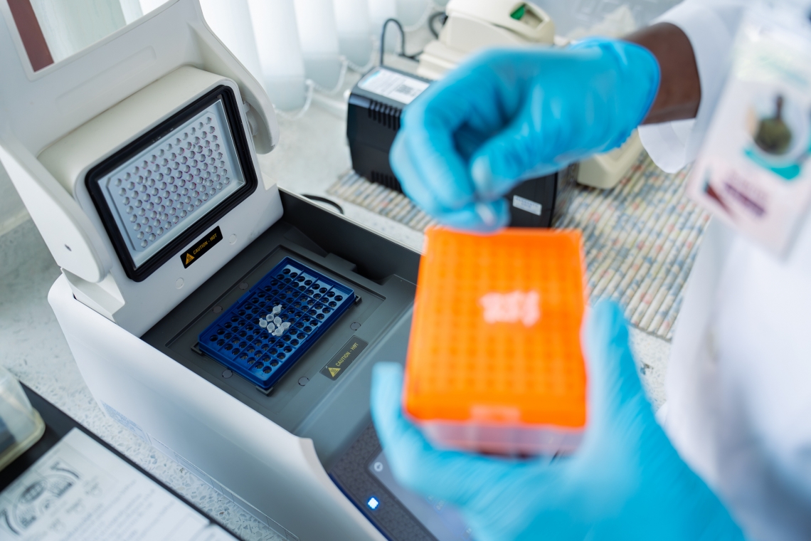 L’importanza dell’esame coprologico molecolare PCR Real Time nel cane